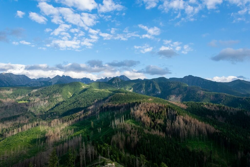 Zakopane
